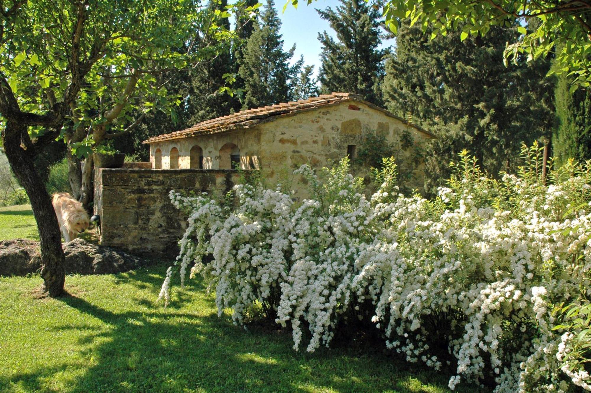 Гостевой дом Fattoria Casa Sola Барберино-Валь-д'Эльса Номер фото